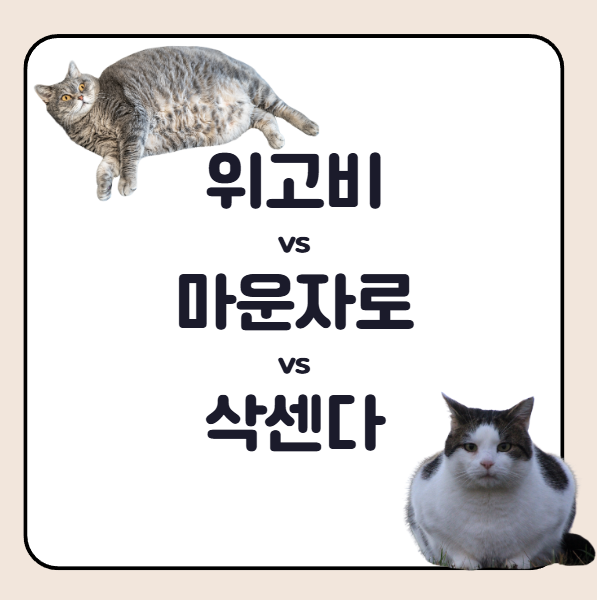위고비vs마운자로vs삭센다 차이 가격 비교 효과는?