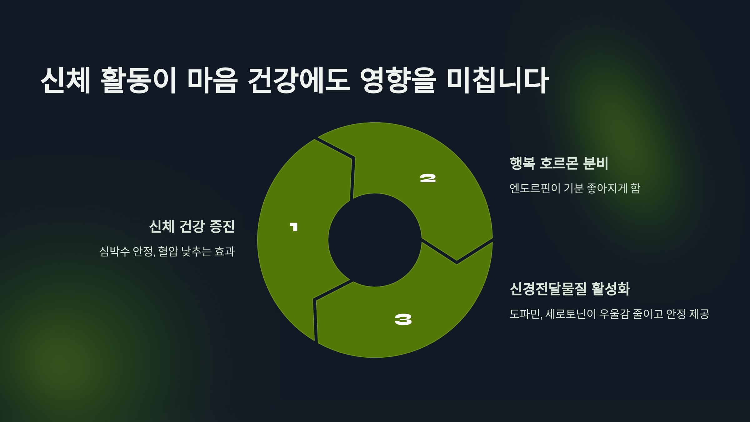 신체활동이 마음 건강에도 영향을 미칩니다.