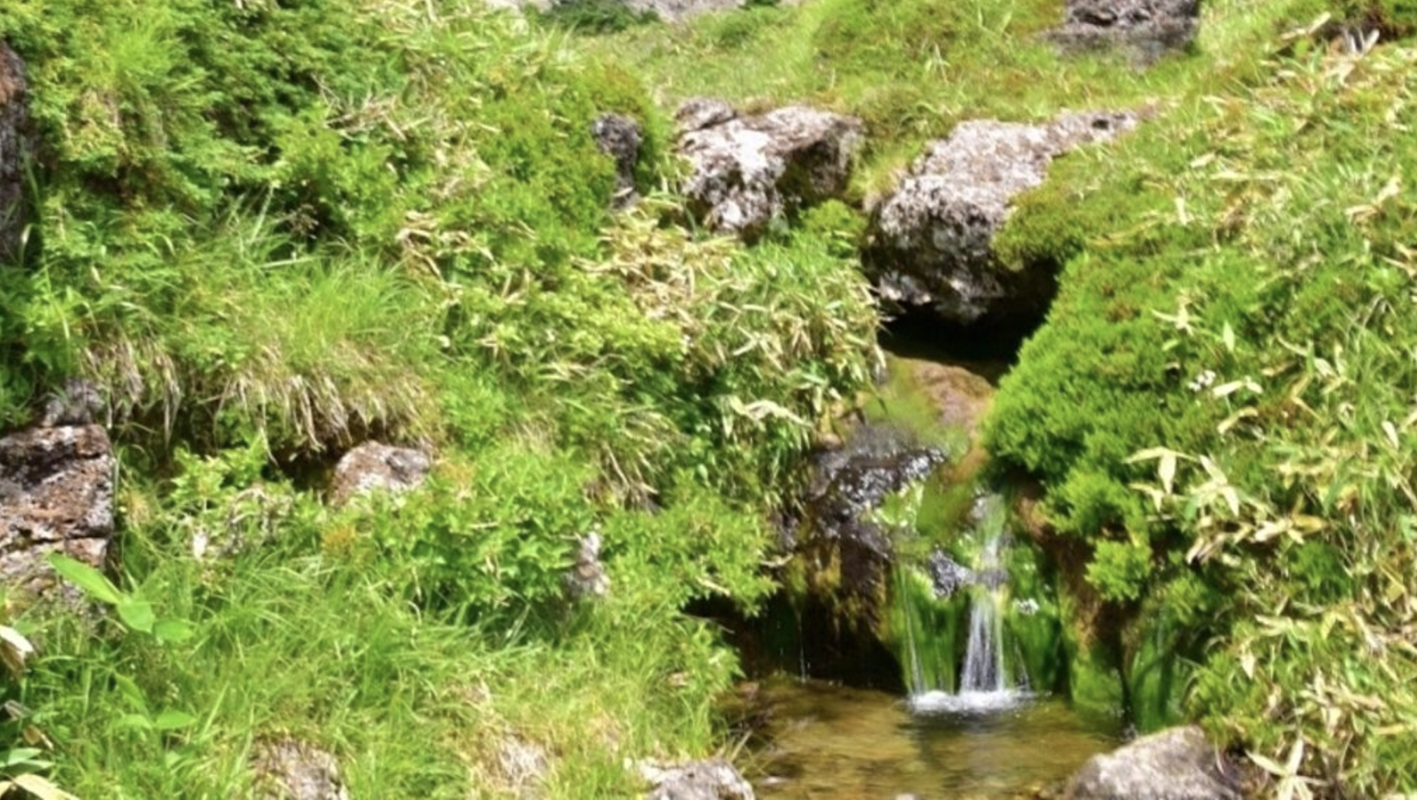 제주 백록샘 2025년 개방|사전예약·신청 꿀팁 공개