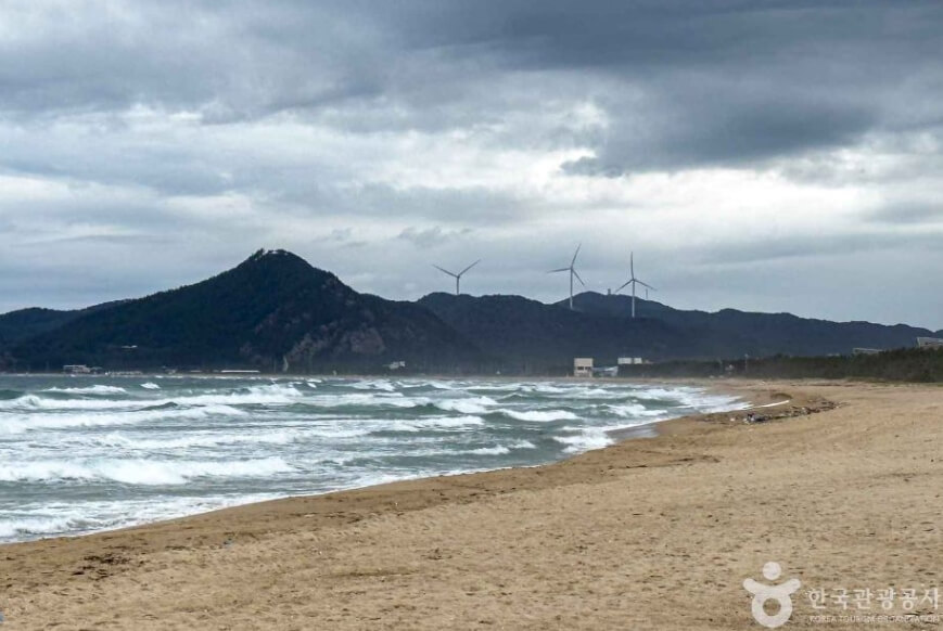 영덕 가볼만한곳 베스트 10