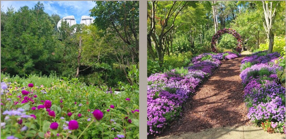 화담숲 취소표 예약