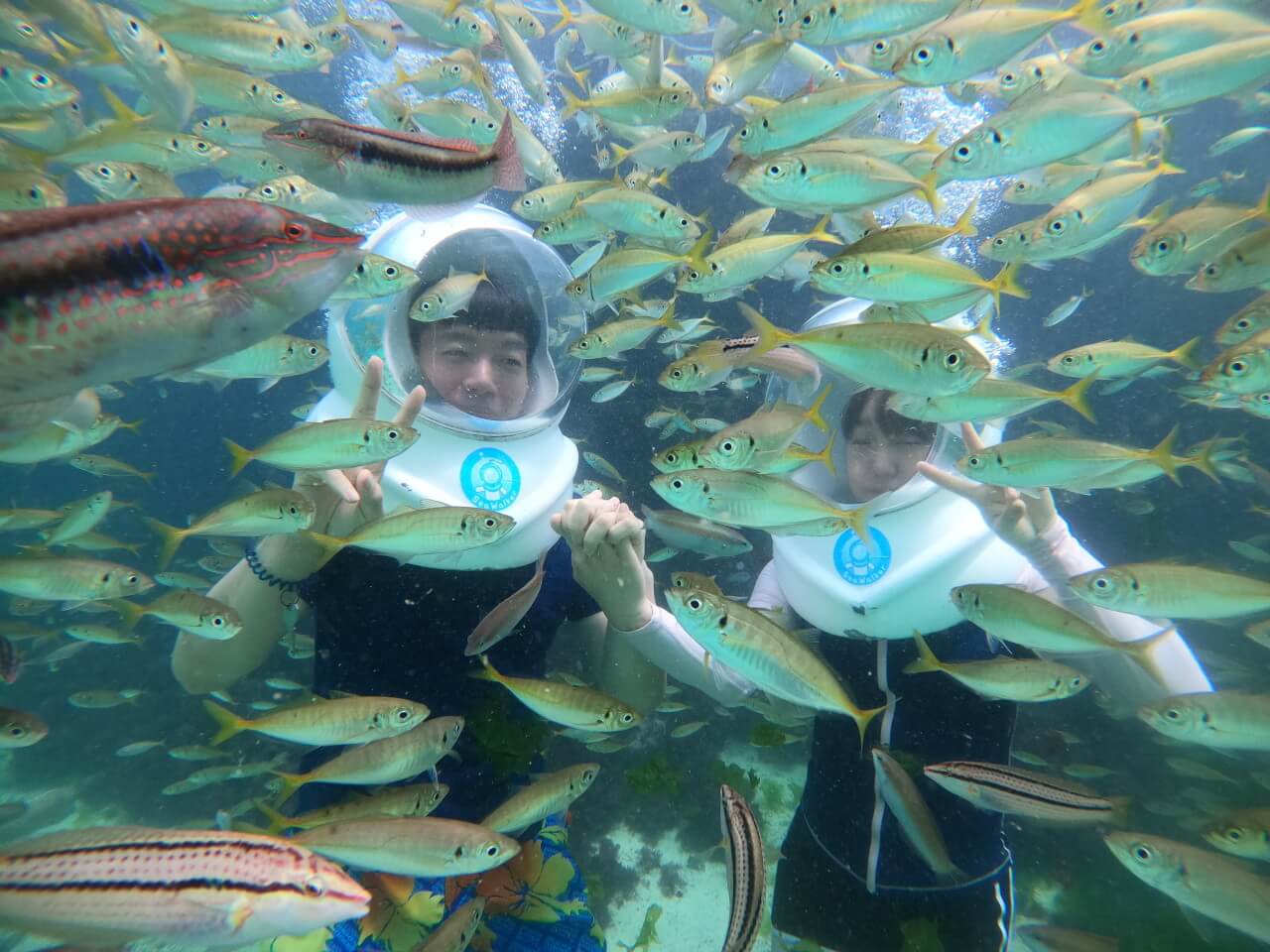 생방송투데이 오픈런 제주특별자치도 편 갈치 한상 맛집 중문색달통갈치와 신나는 바다 액티비티(씨워커, 스쿠버다이빙) 언더워터플레이 함덕점, 여행 팁
