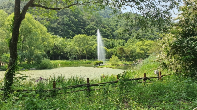 문경 생태미로공원