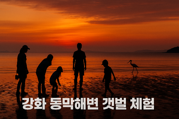 강화 동막해변 여행기: 갯벌과 저어새, 그리고 가족의 여름