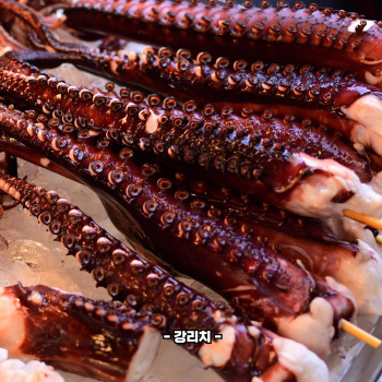 문어숙회 삶는법