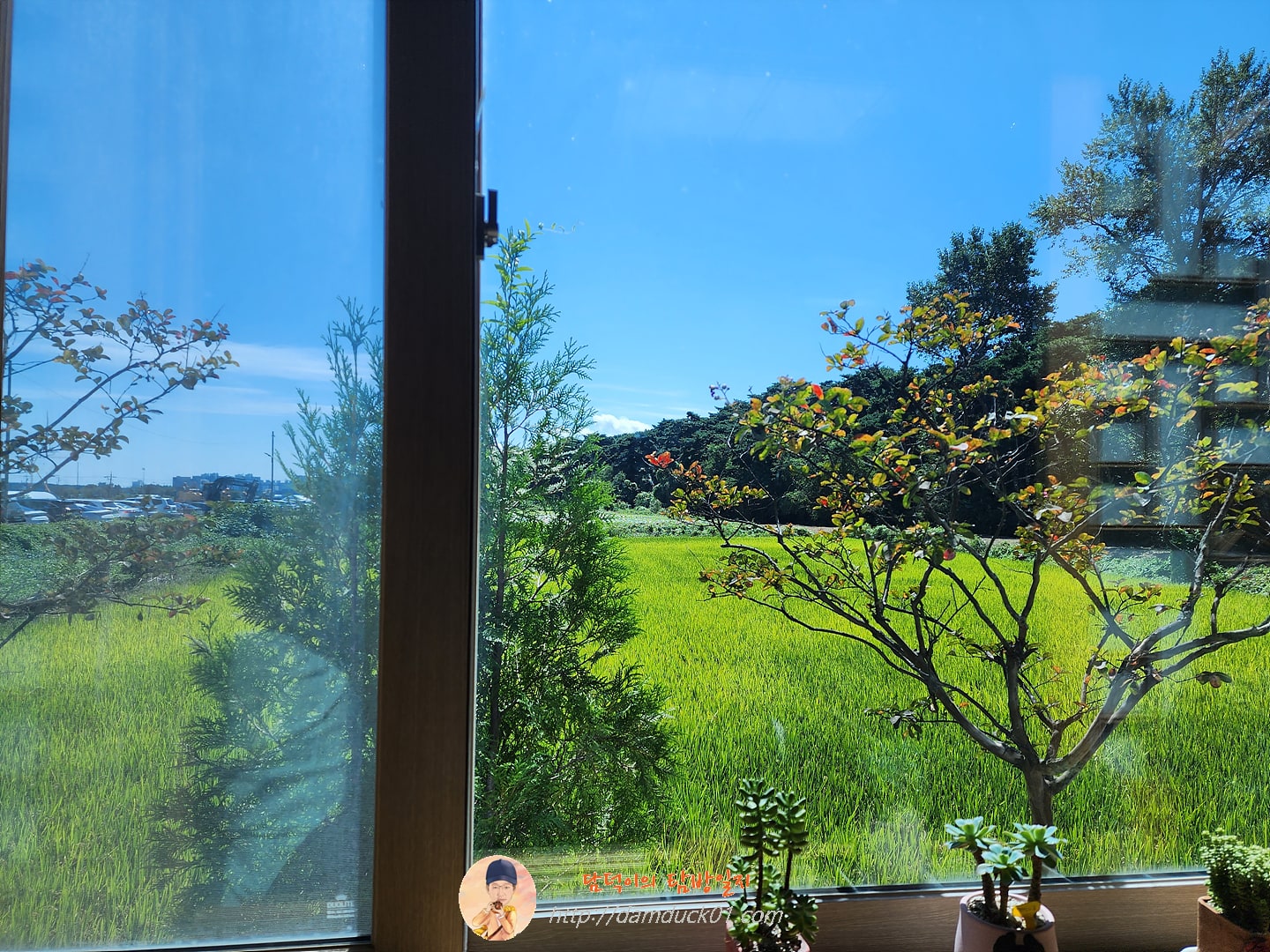 차현희 젤라또 앤 커피