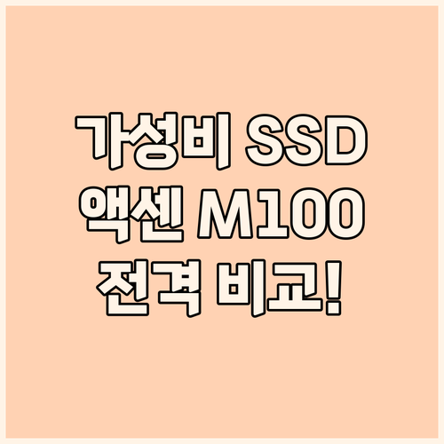 가성비 끝판왕 SSD 추천 액센 M1..