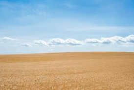 토지거래 허가제란 토지거래 허가제 해제