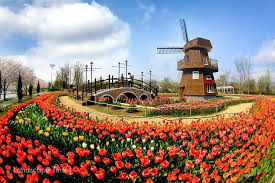 5월 가족여행지 추천: 전남 순천만 국가정원 봄꽃 가득