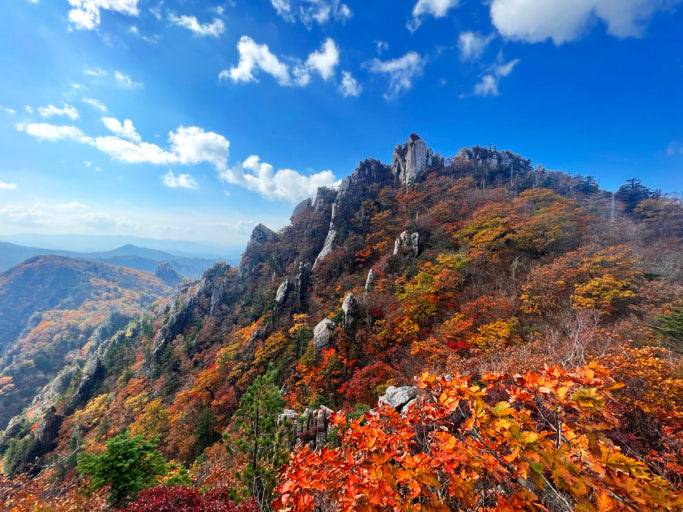 5대 국립공원 단풍시기 및 단풍절정시기