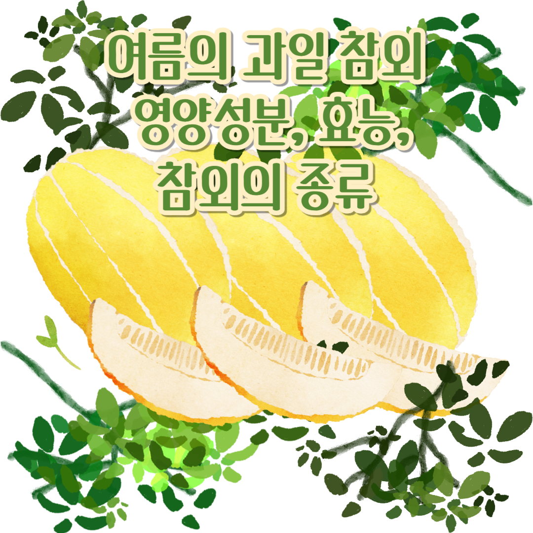 여름의 과일 참외의 영양성분, 효능, 참외의 종류들은?