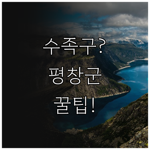 평창군 수족구 대처법 및 병원 이용 ..