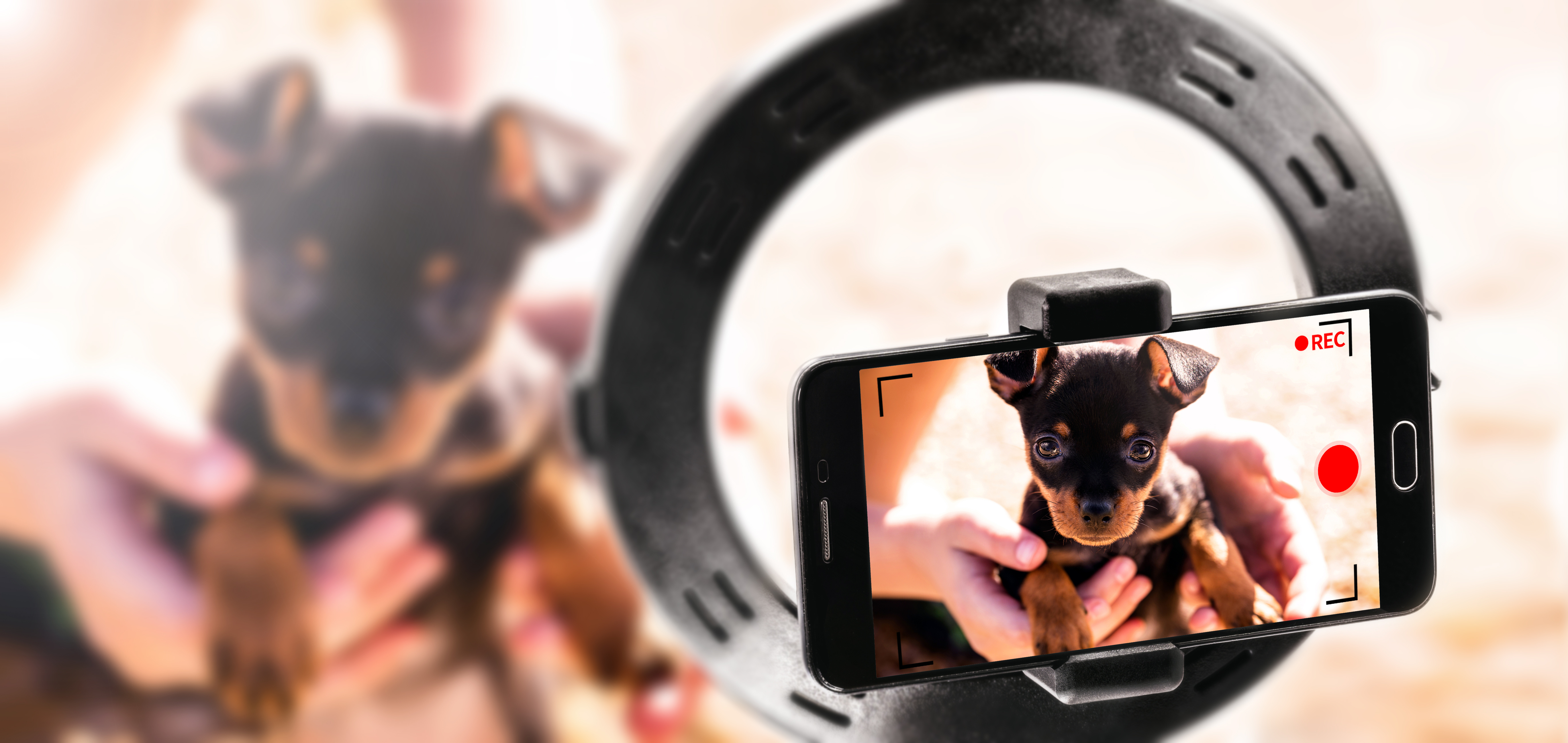 상품 사진 촬영 - 12메가픽셀 이상의 스마트폰 기종 사용하기