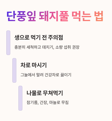 단풍잎 돼지풀 먹는 법