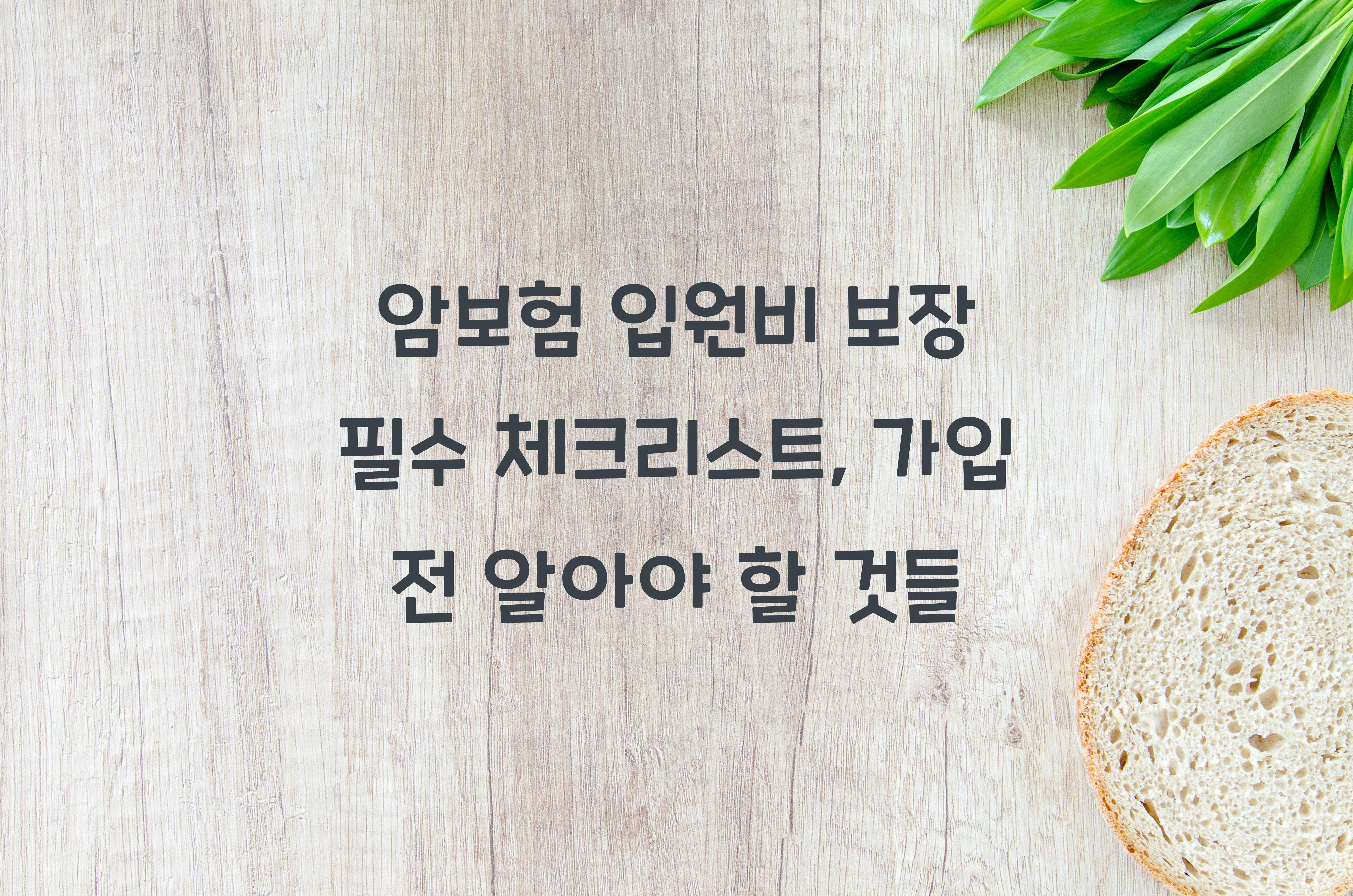 암보험 입원비 보장