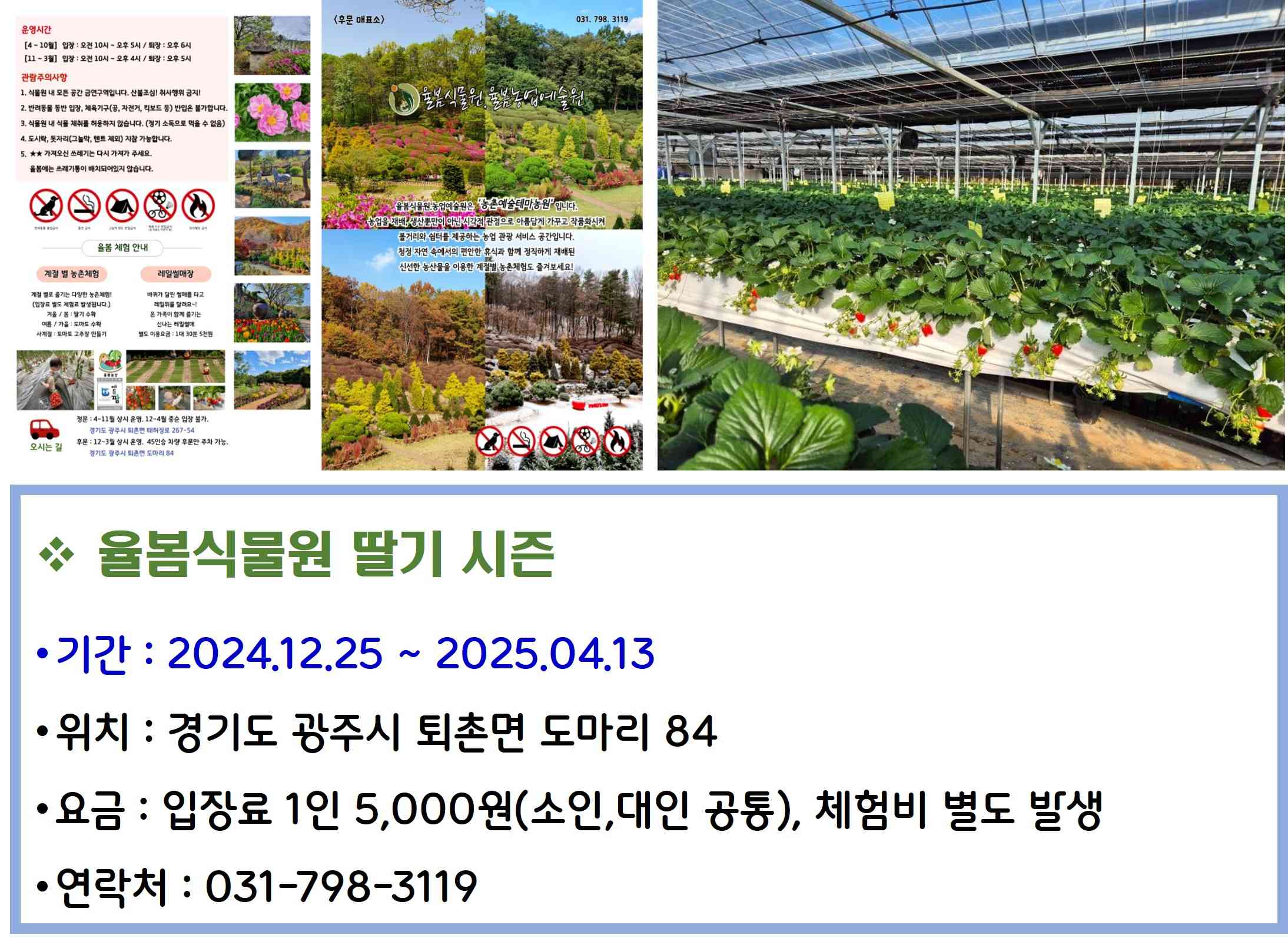 율봄식물원 딸기 시즌