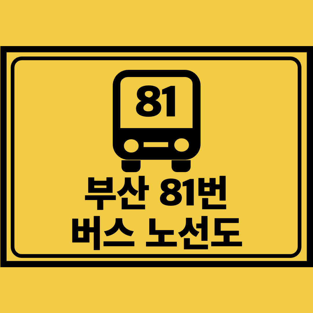 부산81번버스노선도