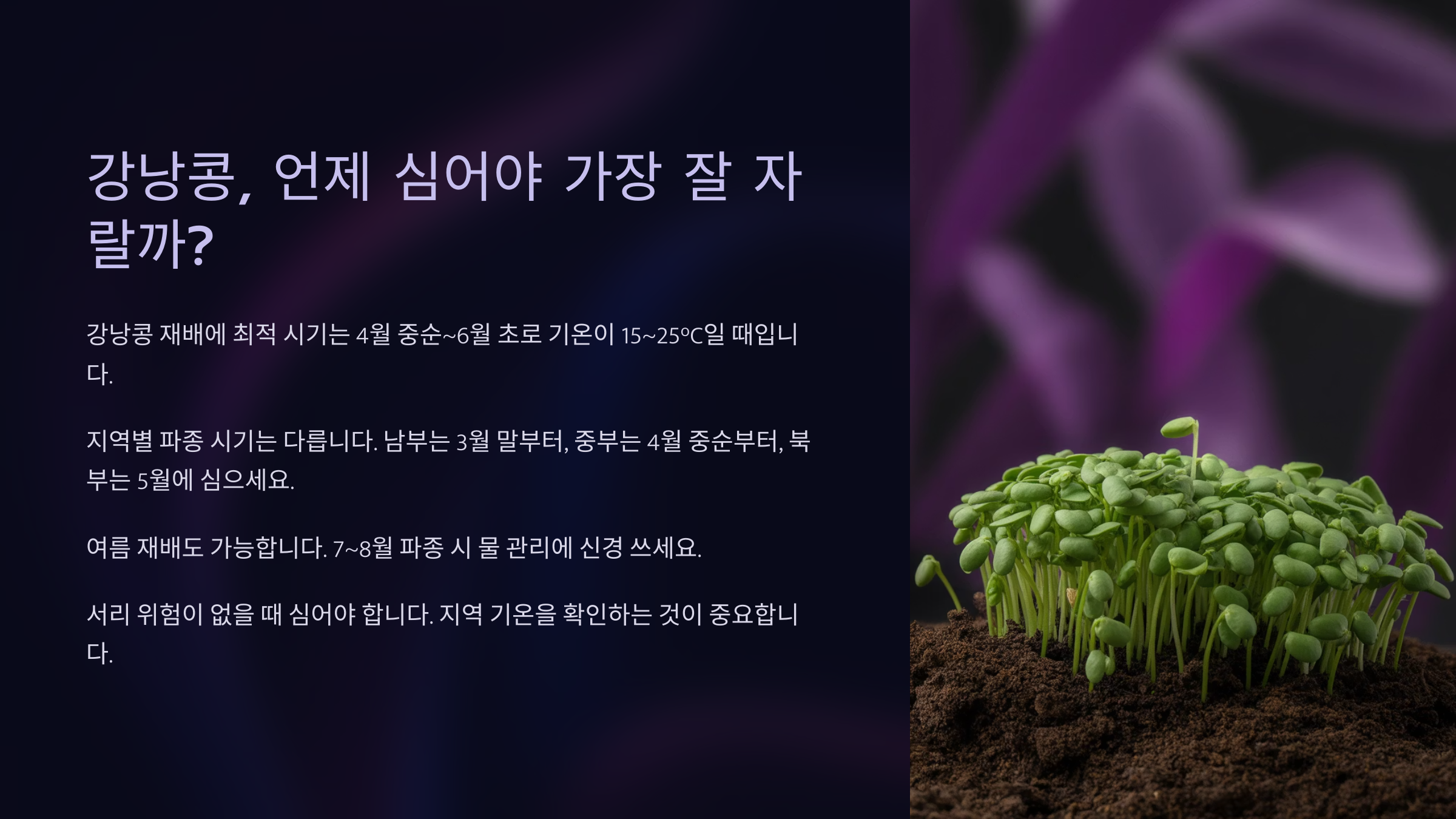 강낭콩, 언제 심어야 가장 잘 자랄까? (심는 시기) 🤔