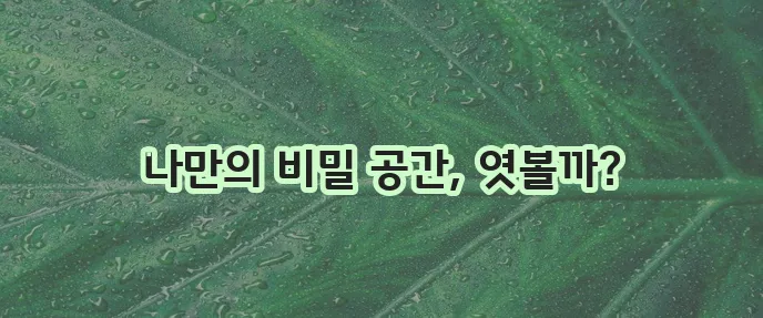 갤럭시 핸드폰 보안폴더 만들기, 사용법