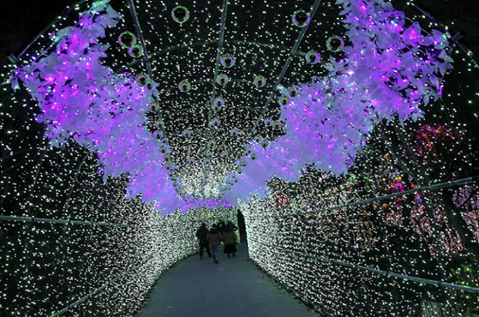 국내 크리스마스 여행