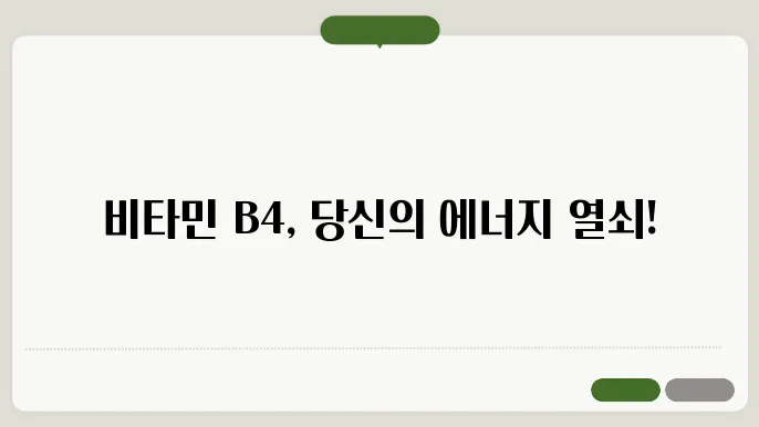 비타민 B4 하루 권장량