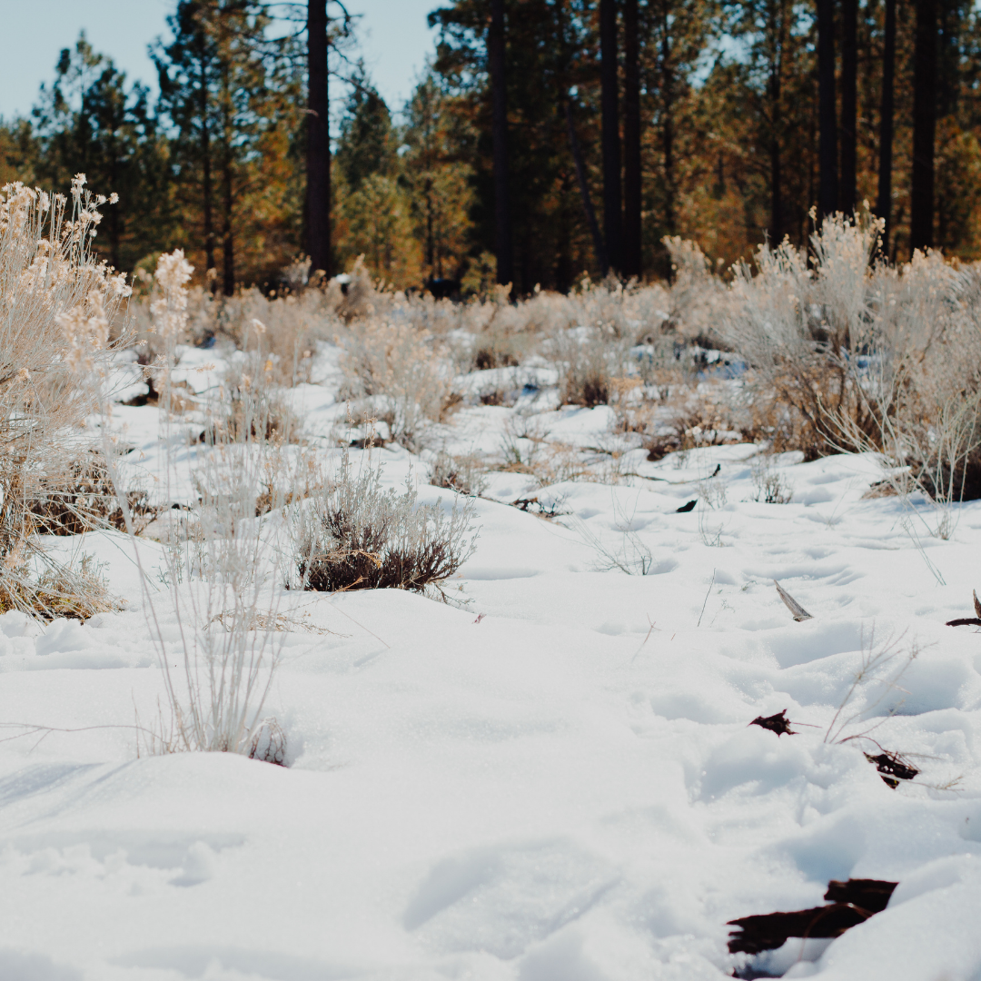 난방비 줄이는 생활 속 루틴