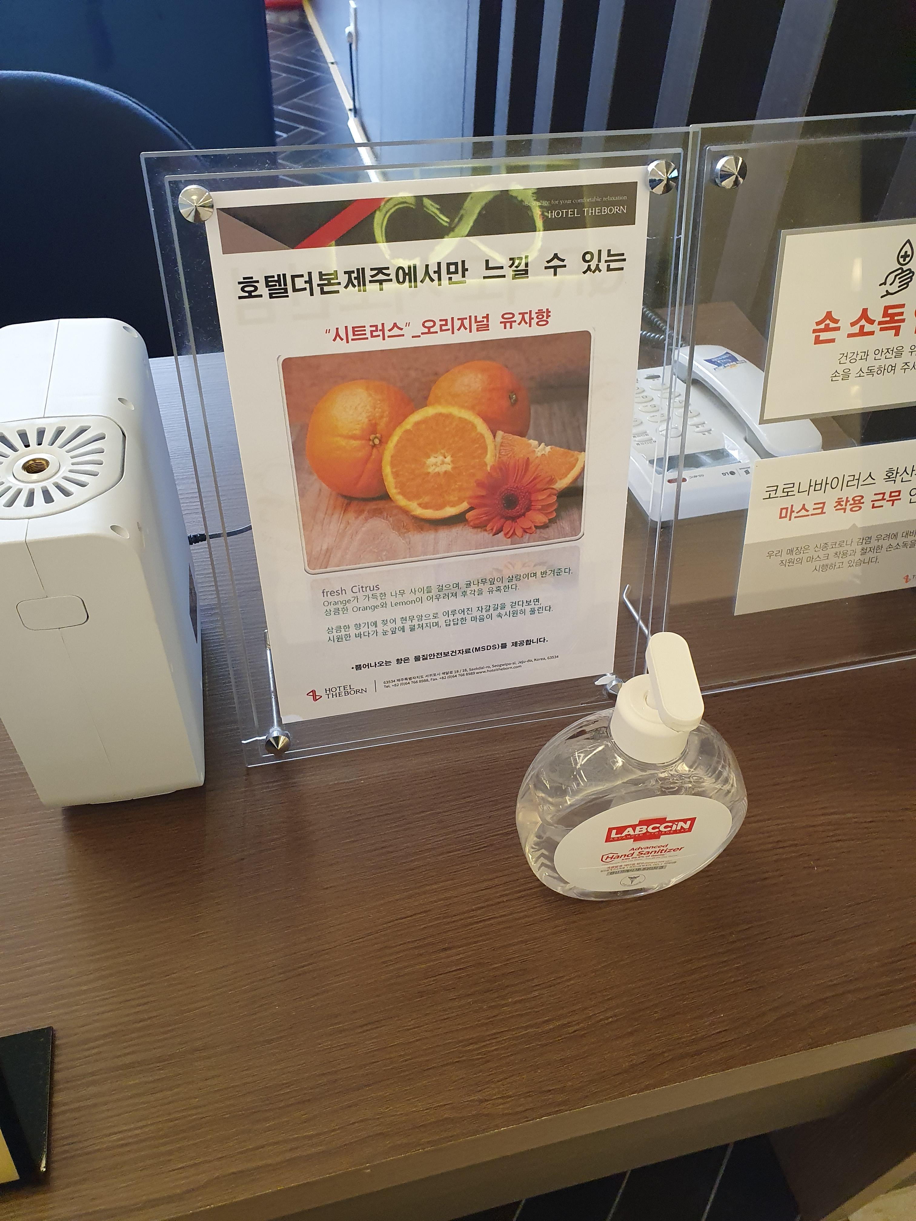 제주 호텔 더본 프론트에 바로 유자향 은은하게 난다~