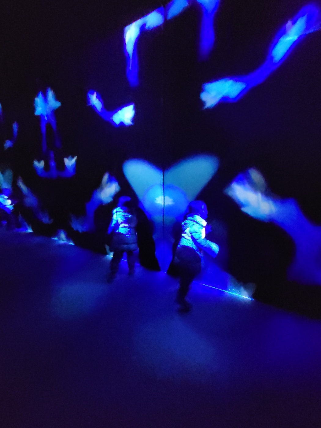 제주도 아이와 가볼만한곳 ( 노형슈퍼마켙 )