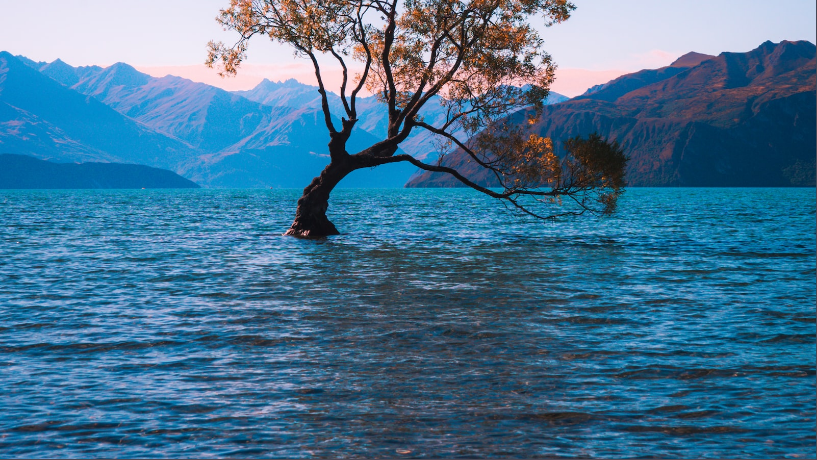 환경 정의의 중요성