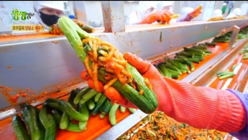 극한직업-여름김치-파주-김치공장-오이소박이