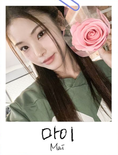 마이