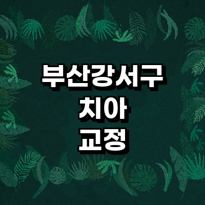 부산 강서구 교정 치과