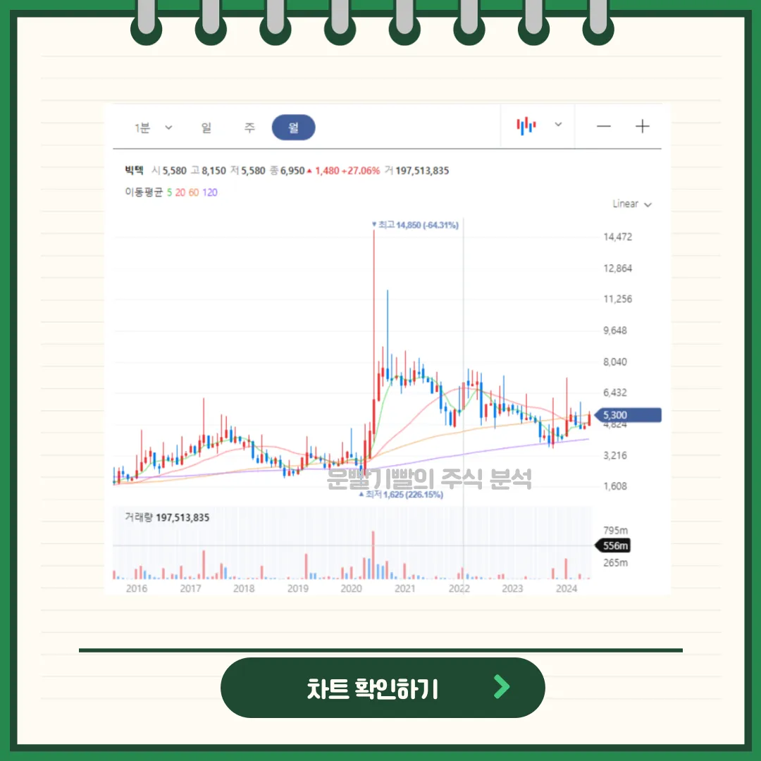 빅텍 차트분석