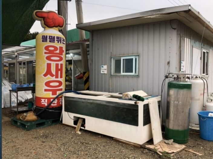 대부도 맛집 베스트