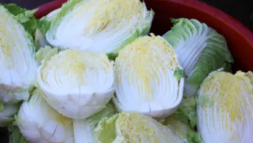 절임배추 사전예약