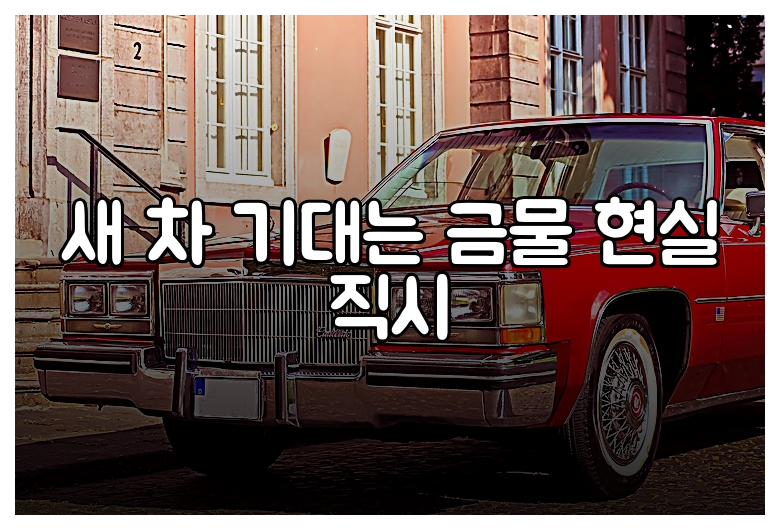 새 차 기대는 금물 현실 직시