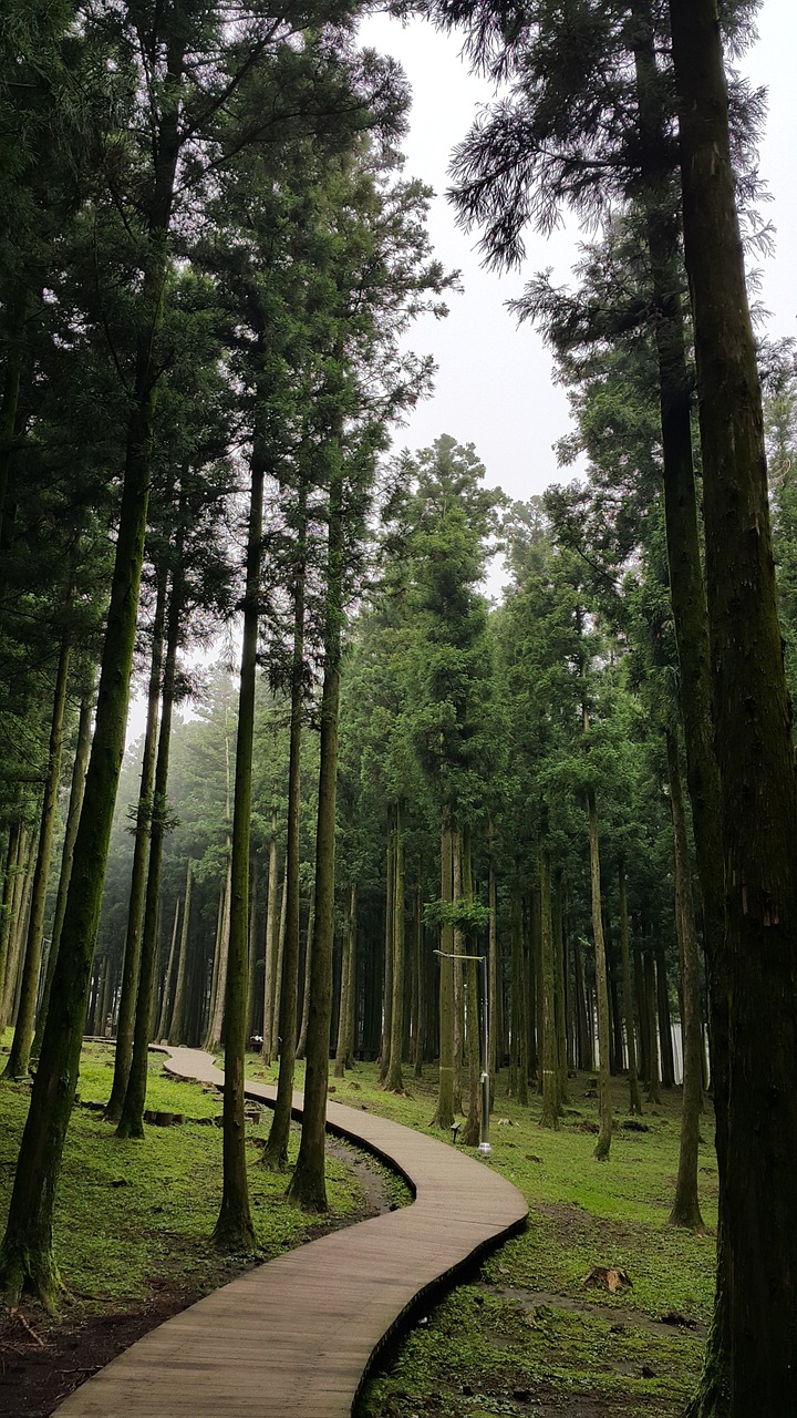 산림복지서비스이용권