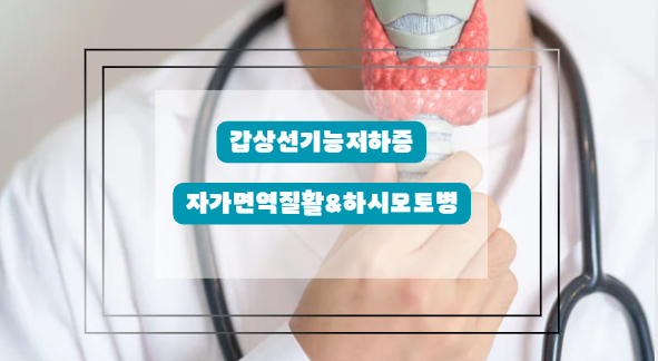 갑상선기능저하증 하시모토병