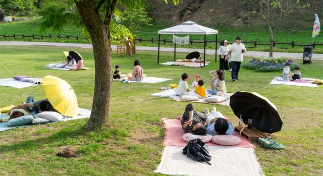 2025 화순 봄꽃 축제