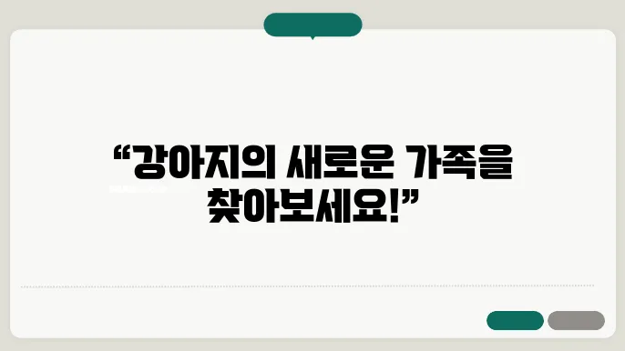 강아지 보호소 운영 방식