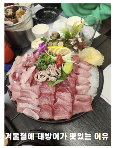 겨울철에 대방어가 맛있는 이유