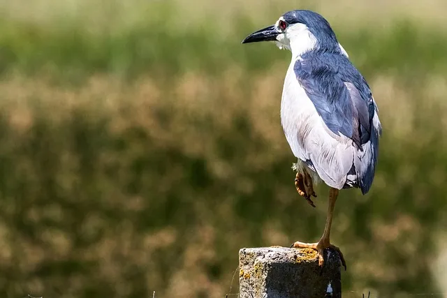 닷사이23 면세 가격 일본 구매 후기 완벽 쇼핑 가이드_5