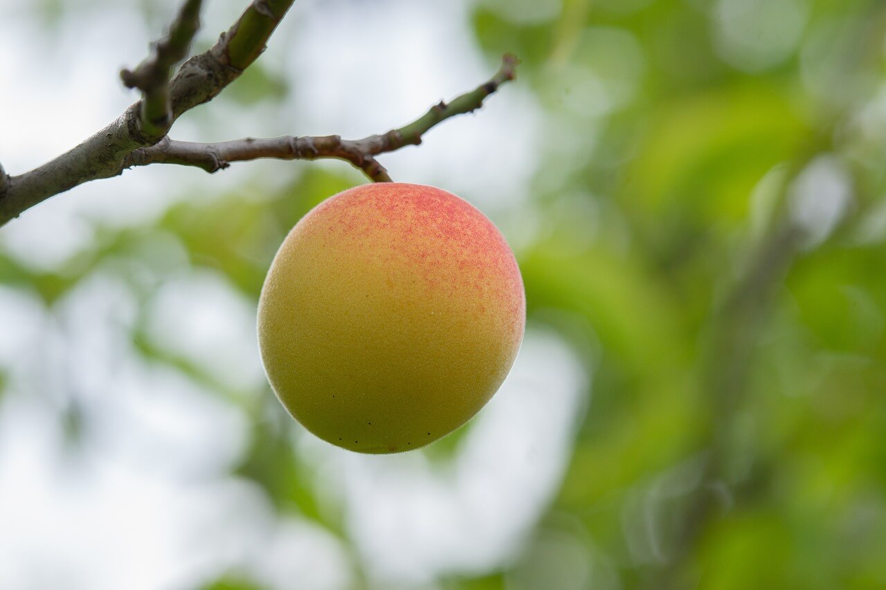 싱글맘 식비 줄이기 노하우