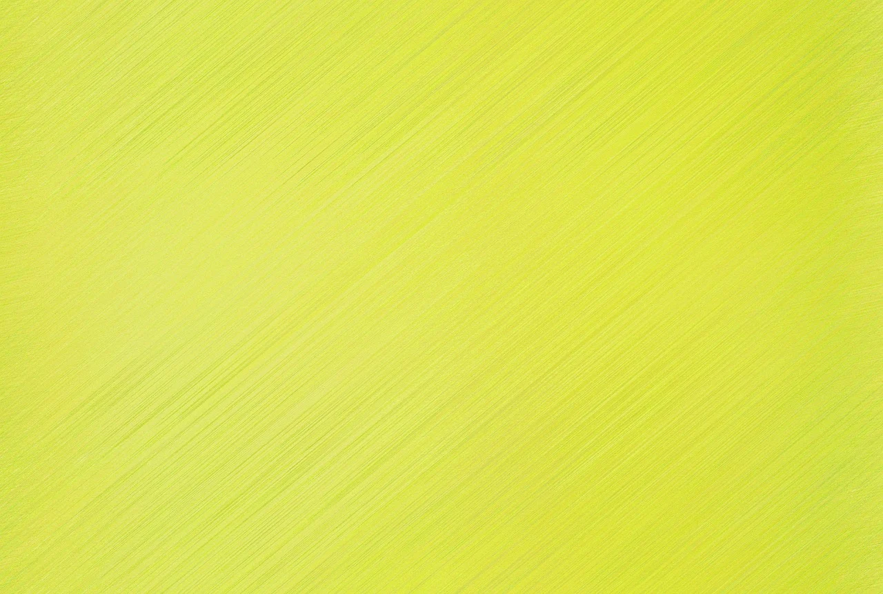 국세청 원클릭 무료 환급서비스 시작