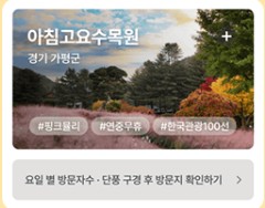 단풍여행지 추천