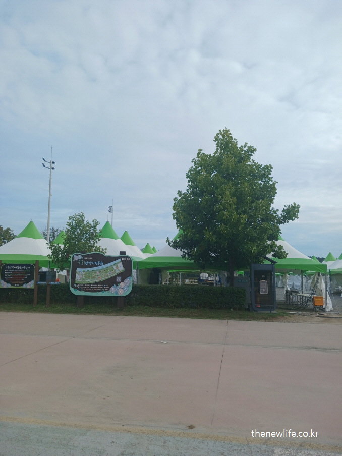 구리 코스모스 축제 행사 준비 중인 천막 부스 전경