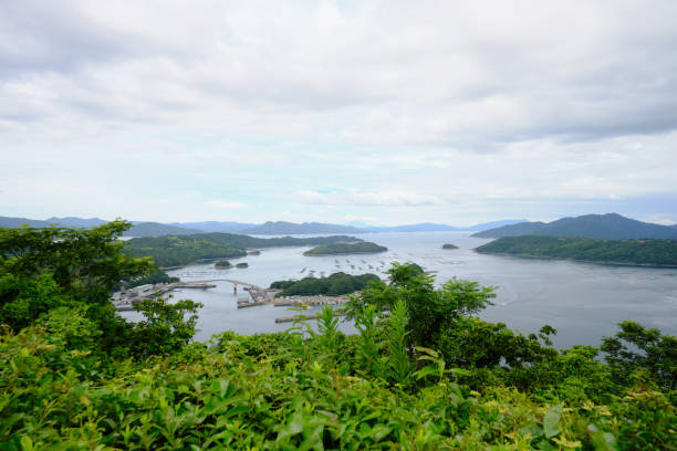 울릉도 독도 지도 한눈에 보기 위치&middot;이동방법&middot;거리까지 총정리