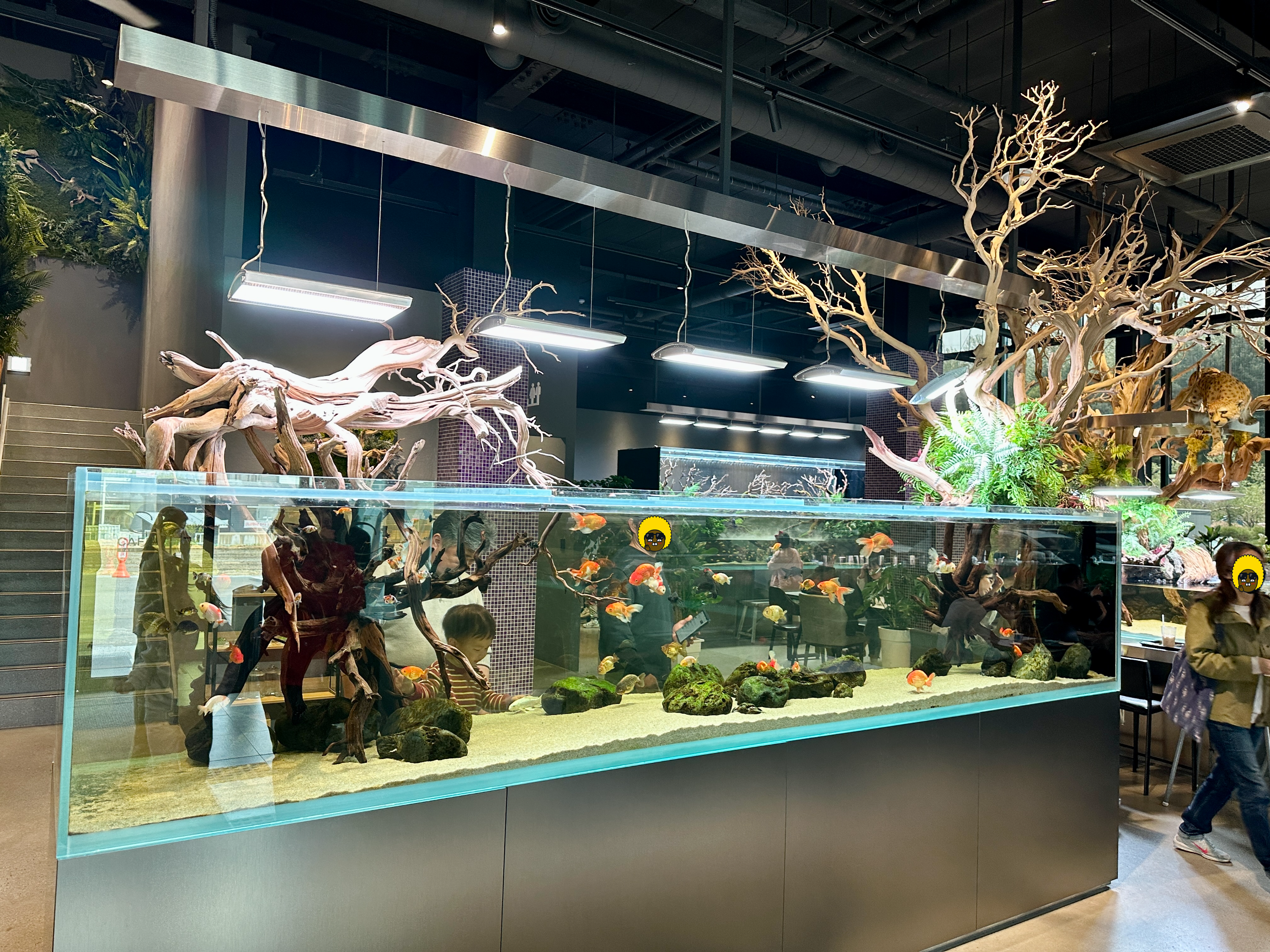 춘천 카페리움 수족관