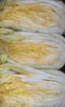 2023년 절임배추