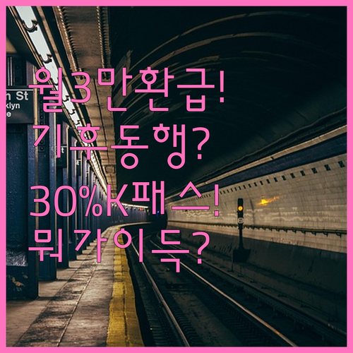 월 3만원 환급 기후동행카드와 30%..